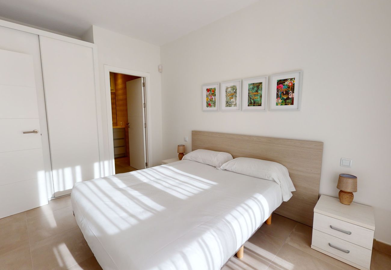 Apartamento en Oliva - Palmetto by ON Travel