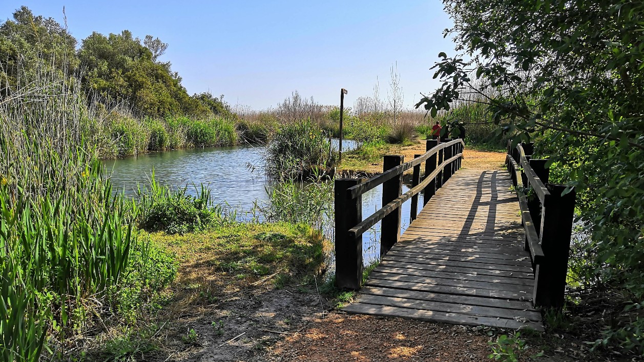 Parque-Natural-Marjal-de-Pego-Oliva.jpg