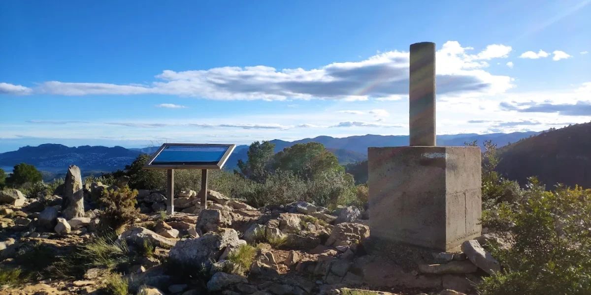 cim-de-covatelles-oliva