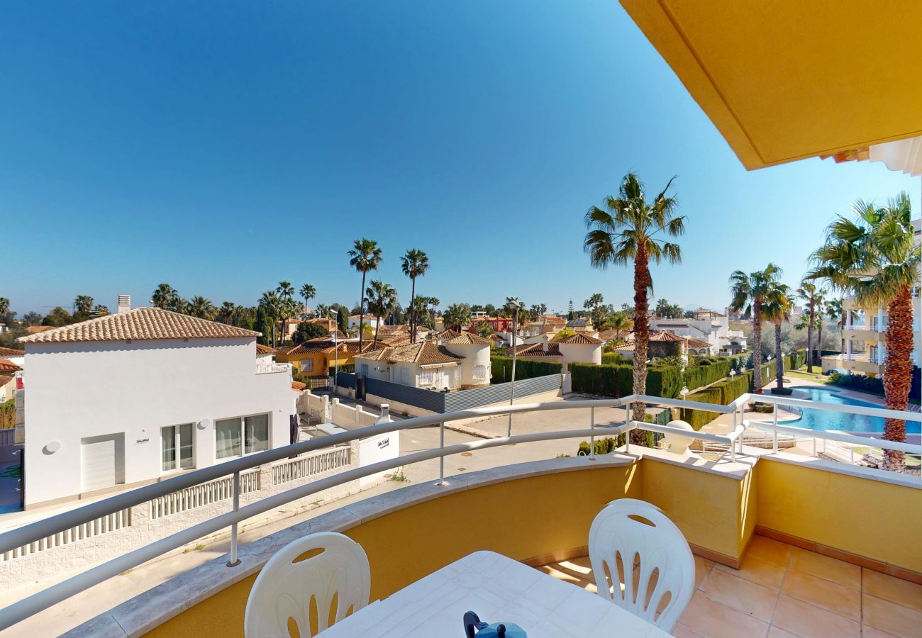 Ferienwohnung in Oliva - Camellia by ON Travel