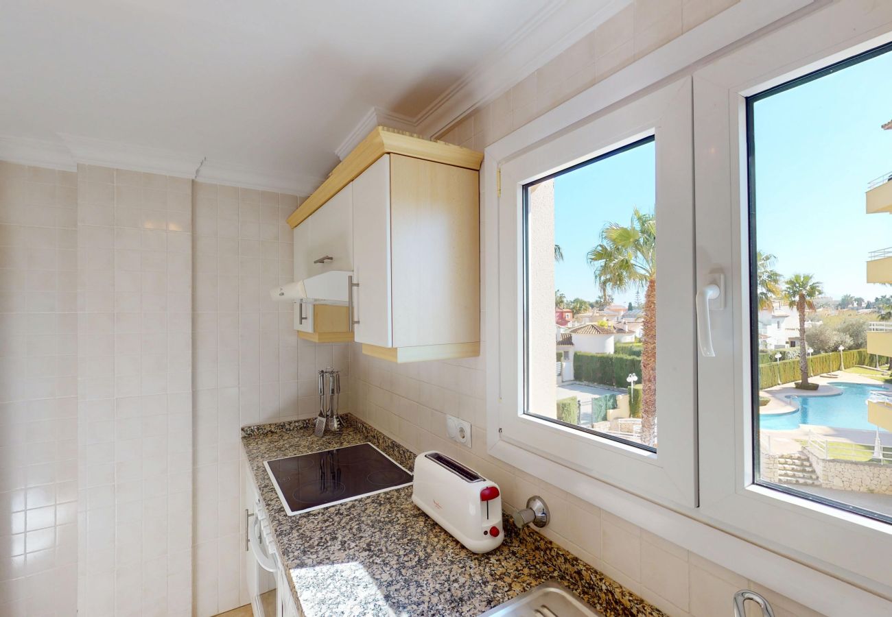 Ferienwohnung in Oliva - Camellia by ON Travel