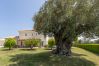 Villa in Oliva - Villa Panorama  Villa in Oliva - Villa Panorama