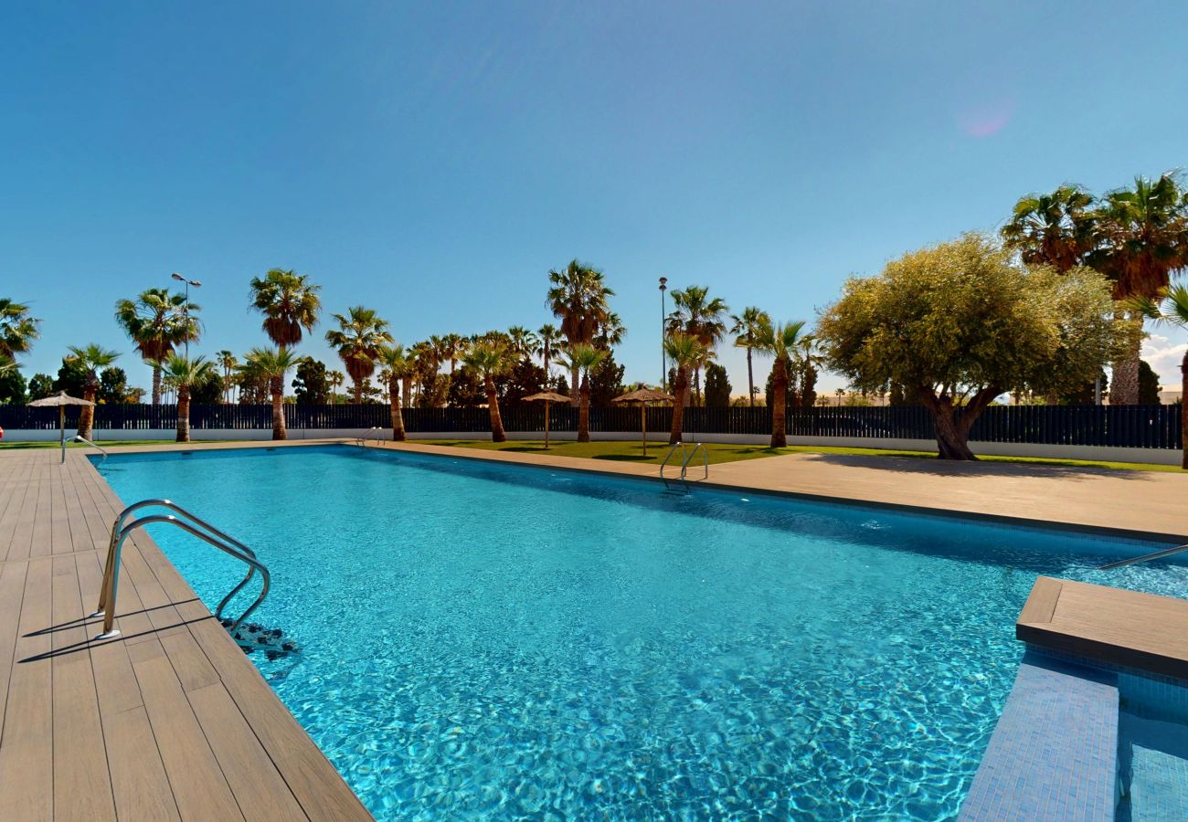 Ferienwohnung in Oliva - Seris by ON Travel
