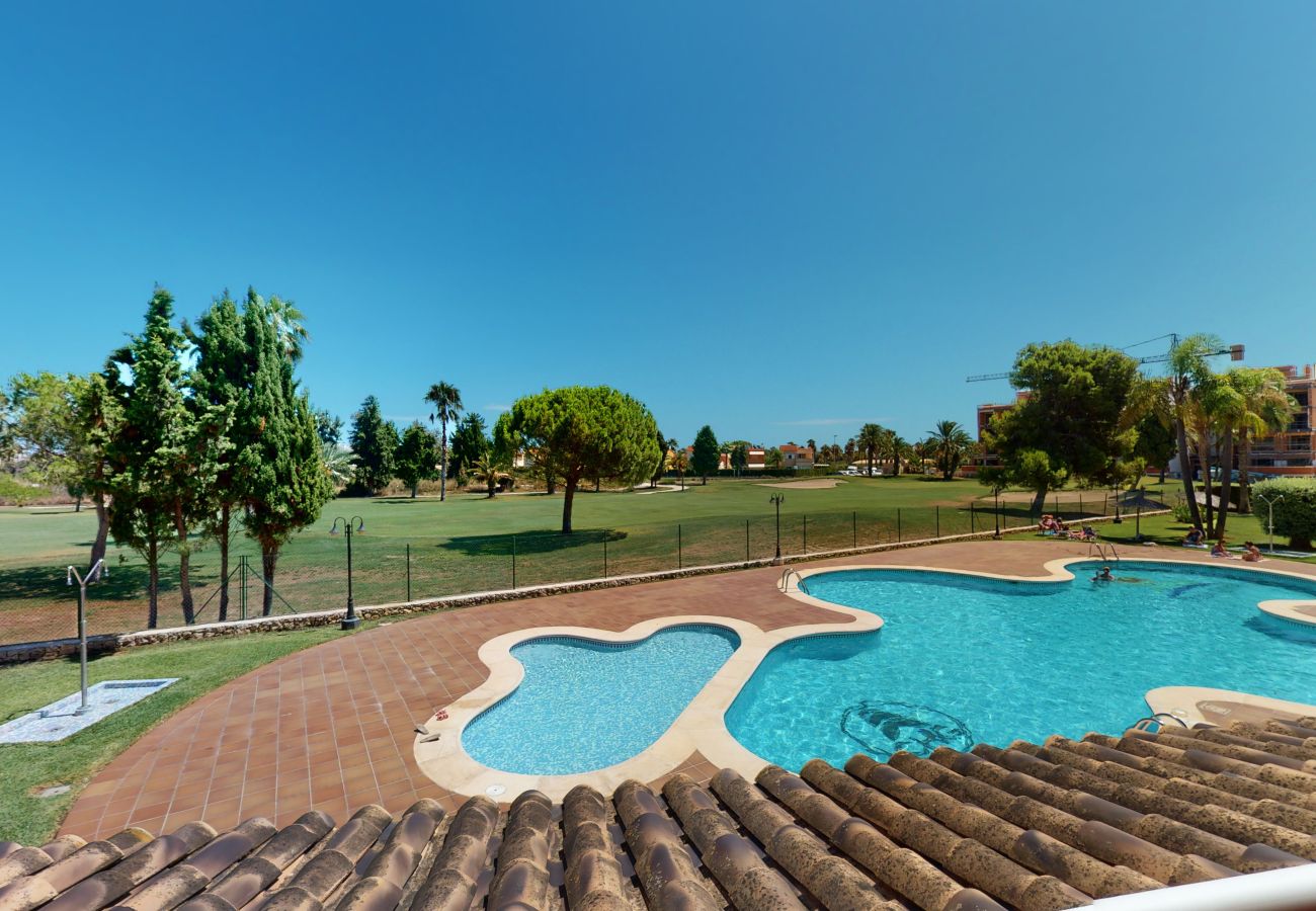 Studio in Oliva - Barbara Karst by ON Travel