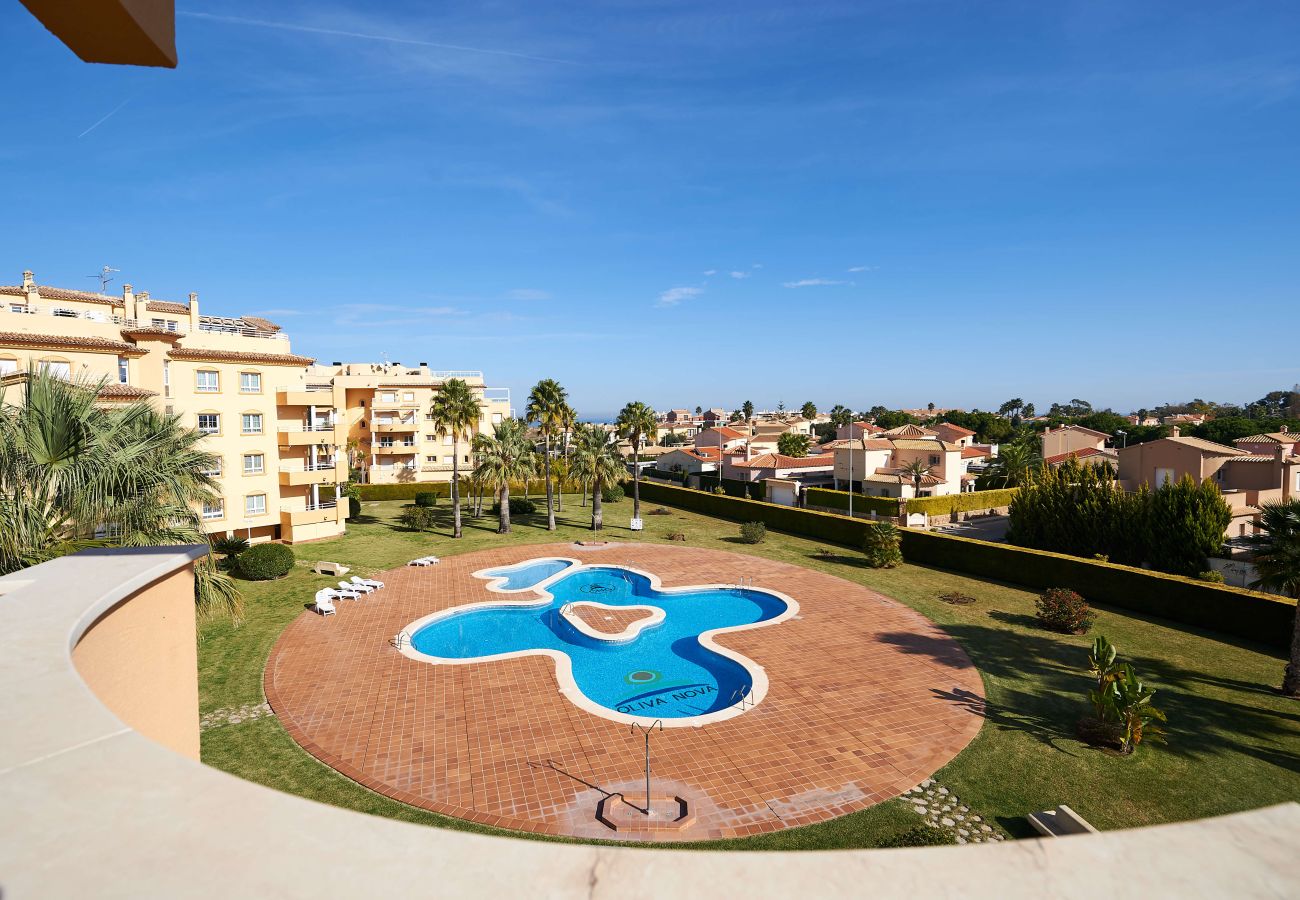 Apartment in Oliva - Draw by ON Travel
