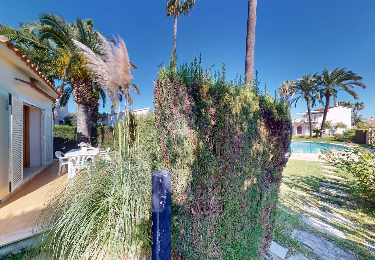 Apartment in Oliva - Amara by ON Travel