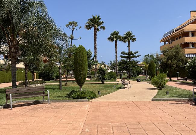 Apartment in Denia - Penthouse in Denia Apartment in Denia - Penthouse in Denia