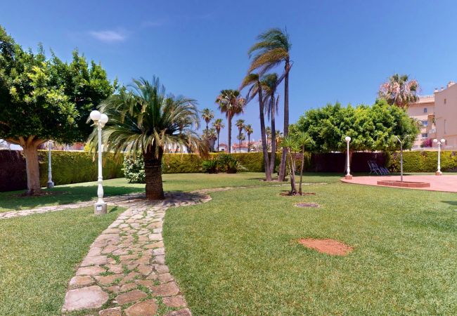 Apartment in Oliva - Eagle by ON Travel Apartment in Oliva - Eagle by ON Travel