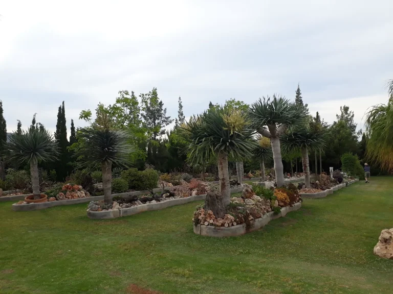 El-Sueno-Jardin-Botanico-denia.webp