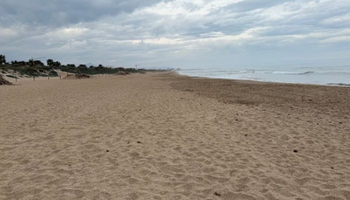 Playa-de-Terranova